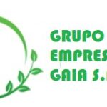 GRUPO EMPRESARIAL GAIA S.A.C