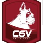 C6V SECURITY